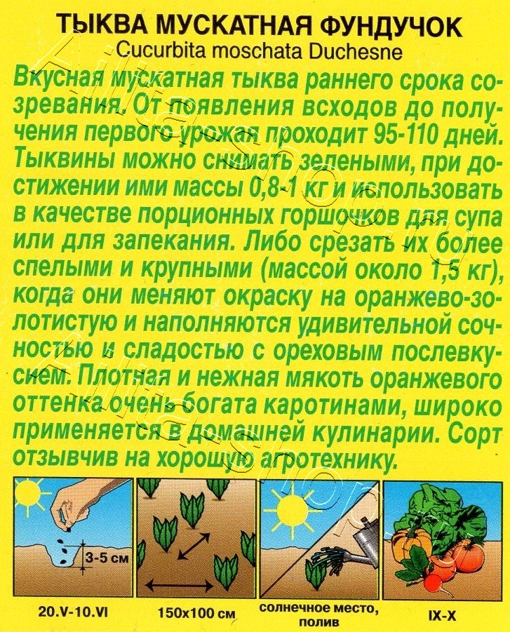 Тыква мускатная Фундучок 7шт