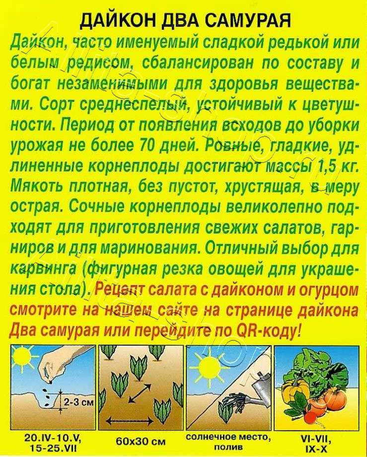 Дайкон Два самурая 1г