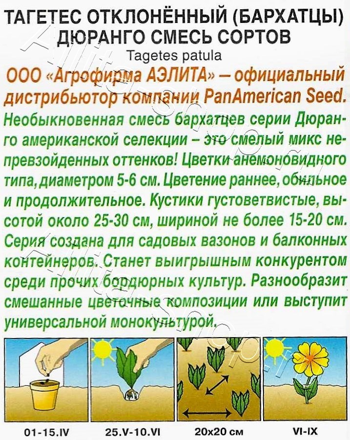 Бархатцы Дюранго, смесь сортов 7шт