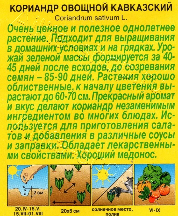 Кориандр овощной Кавказский 0,5г