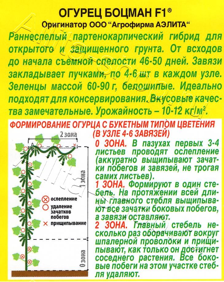 Огурец Боцман F1 10шт