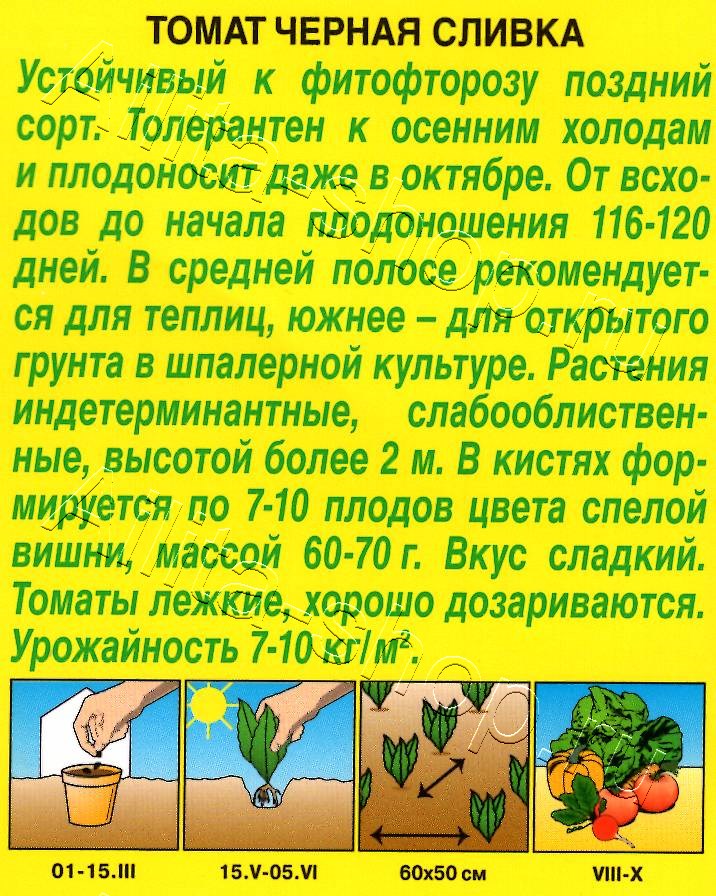 Томат Черная сливка 20шт