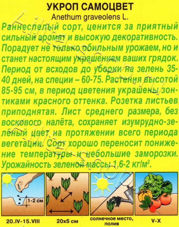 Укроп Самоцвет 2г