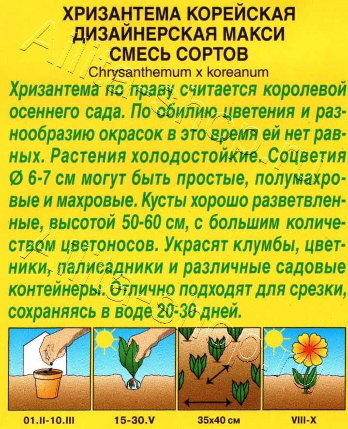 Хризантема Дизайнерская макси, смесь сортов 0,02г
