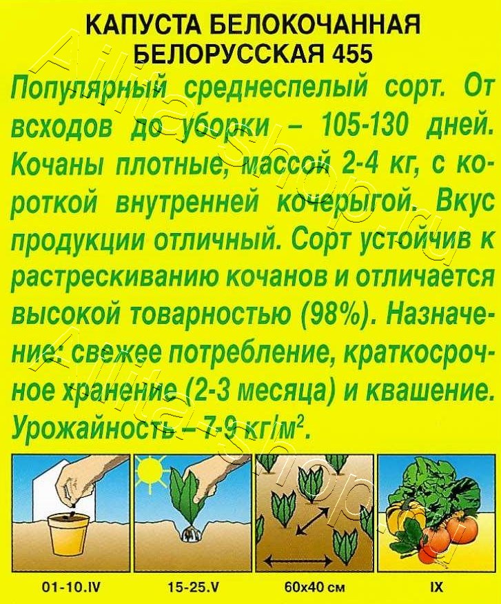 Капуста белокочанная Белорусская 455 0,5г