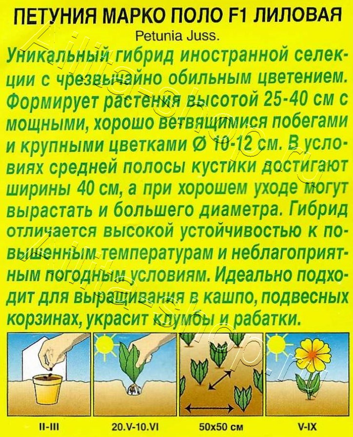Петуния Марко Поло F1 лиловая 7шт
