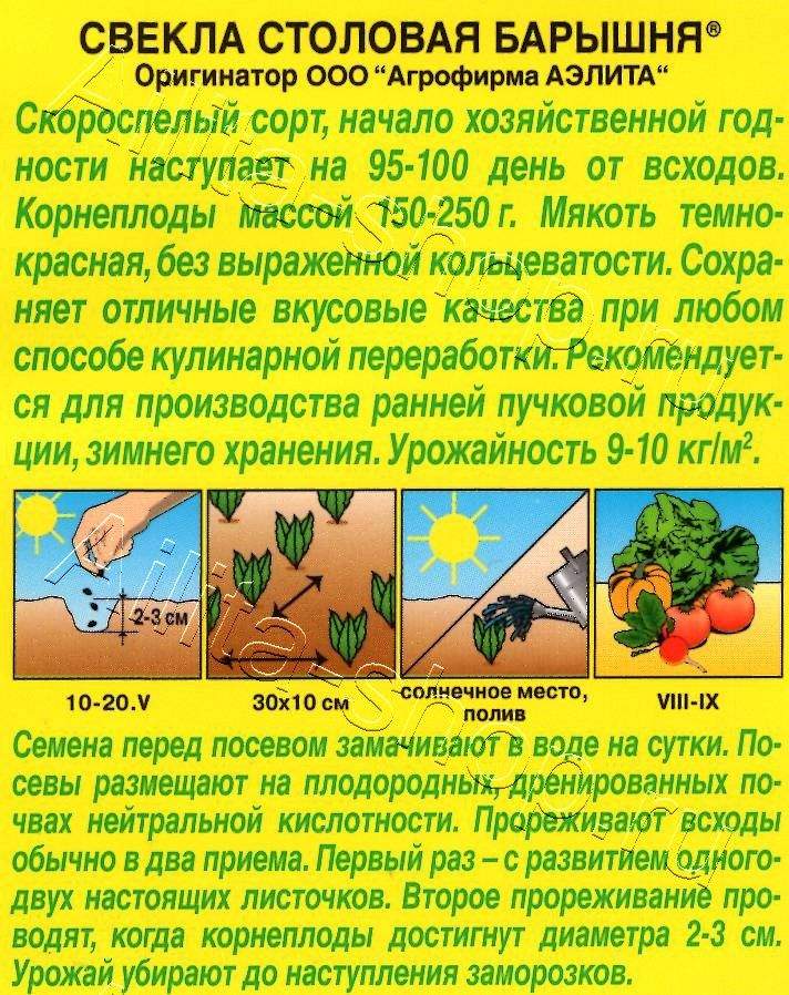 Свекла столовая Барышня 3г