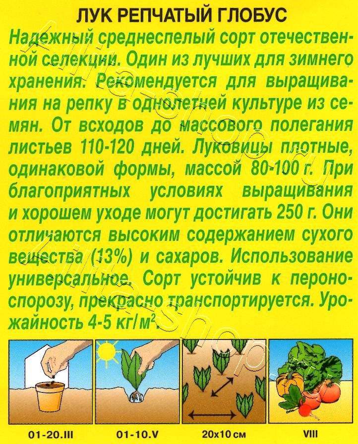 Лук репчатый Глобус 0,5г