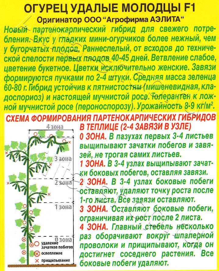 Огурец Удалые молодцы F1 10шт