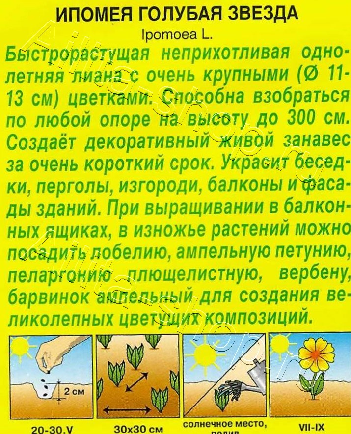 Ипомея Голубая звезда 0,5г