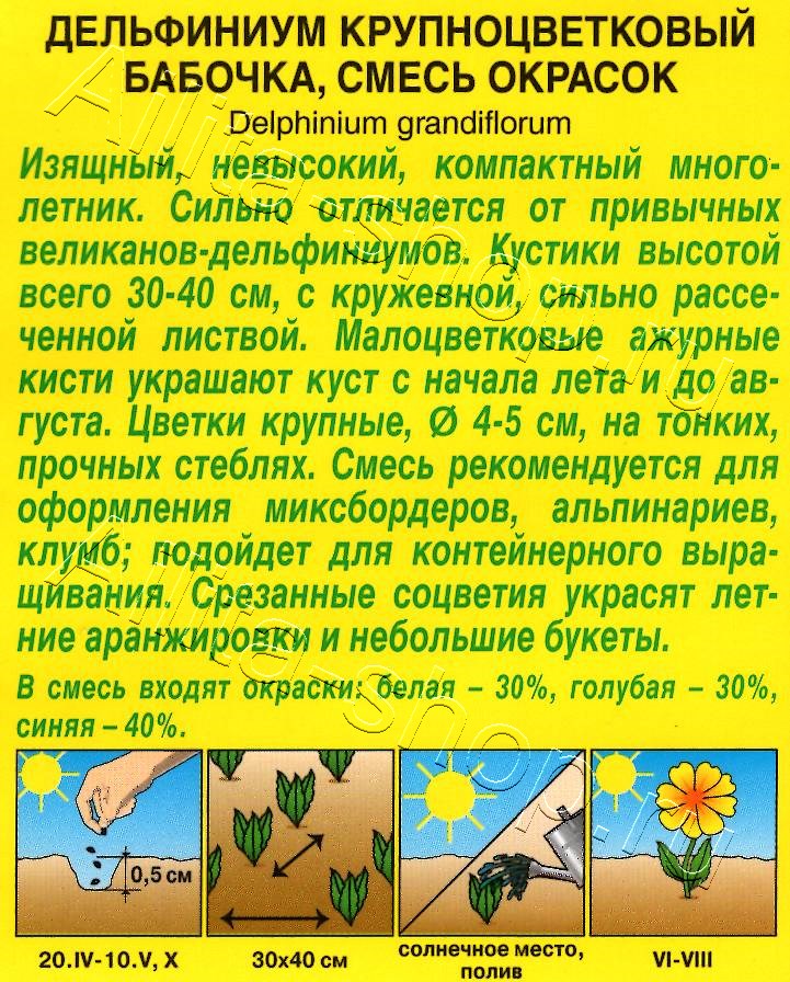Дельфиниум крупноцветковый Бабочка, смесь окрасок 25шт