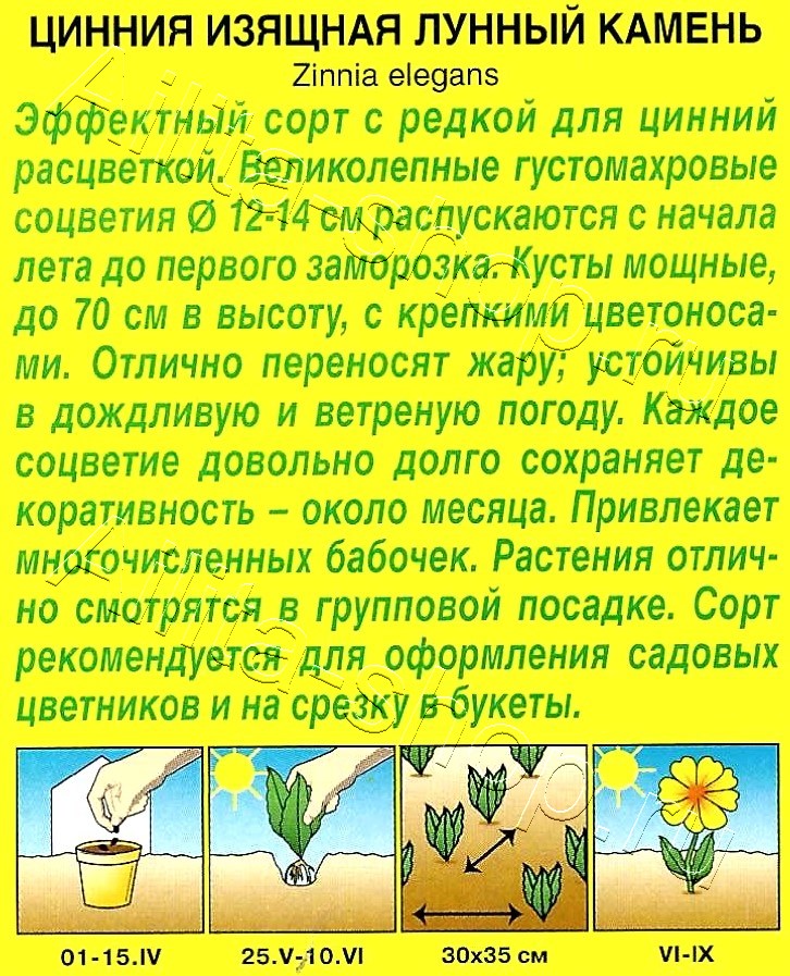 Цинния Лунный камень 0,3г