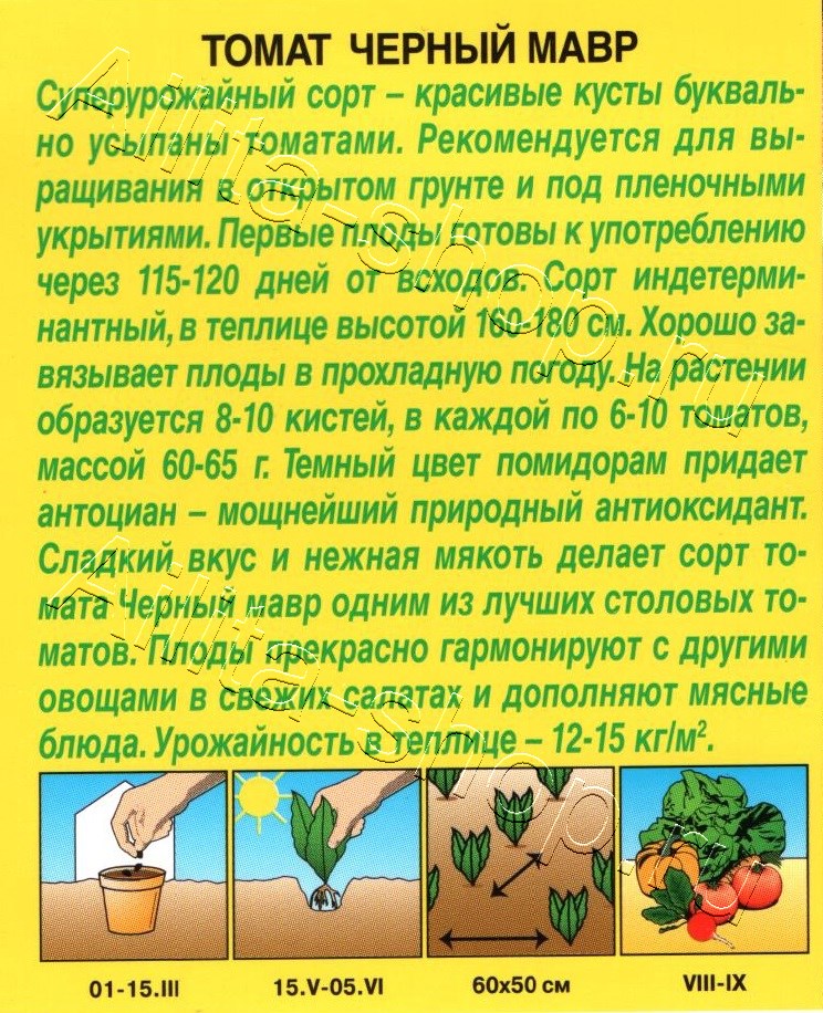 Томат Черный Мавр 20шт