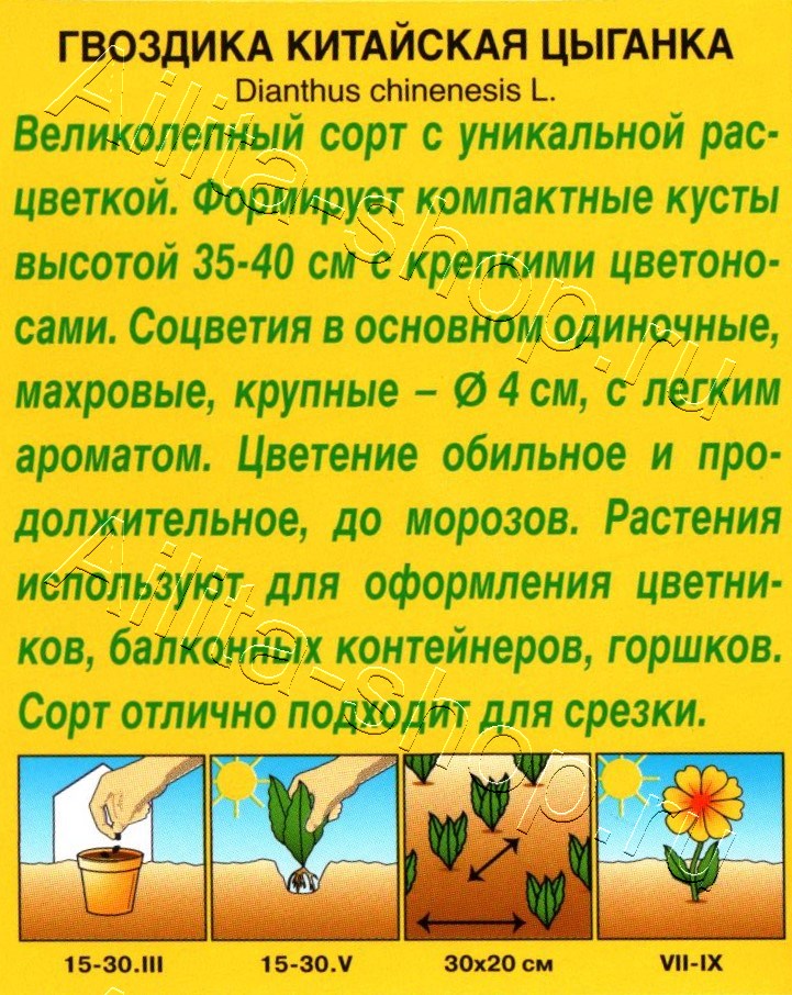 Гвоздика Цыганка китайская 0,05г