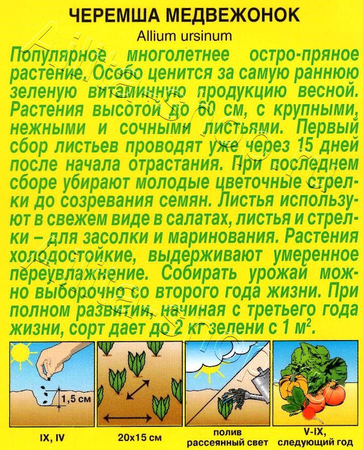 Черемша Медвежонок 0,3г