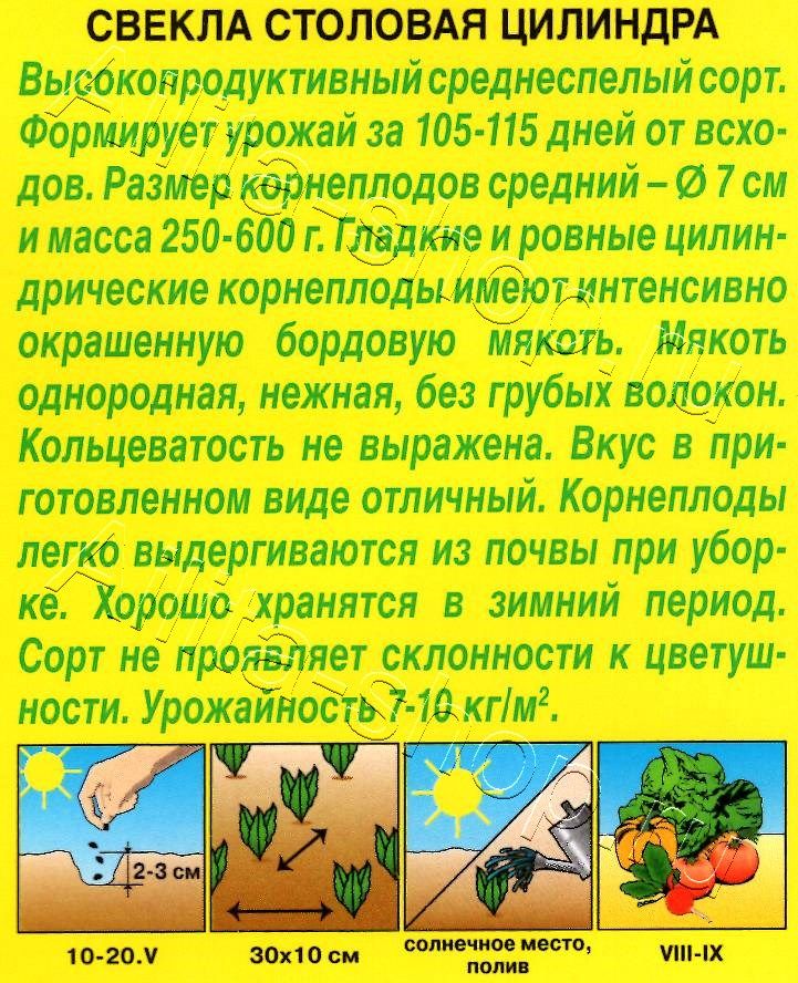 Свекла столовая Цилиндра 3г