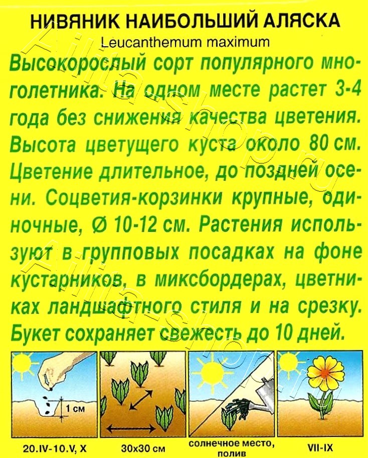 Нивяник наибольший Аляска 0,5г