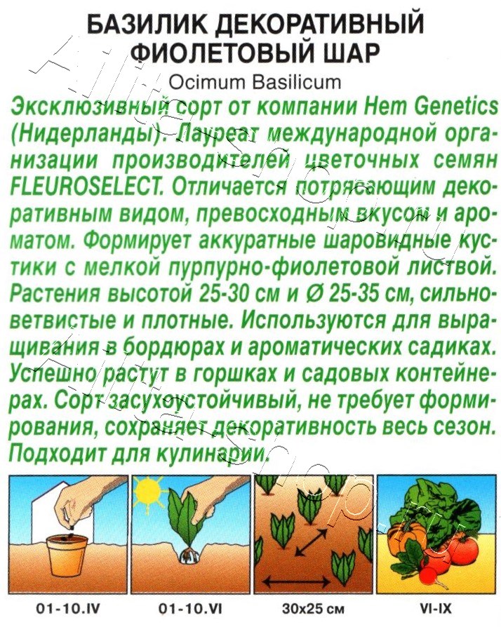 Базилик декоративный Фиолетовый шар 10шт