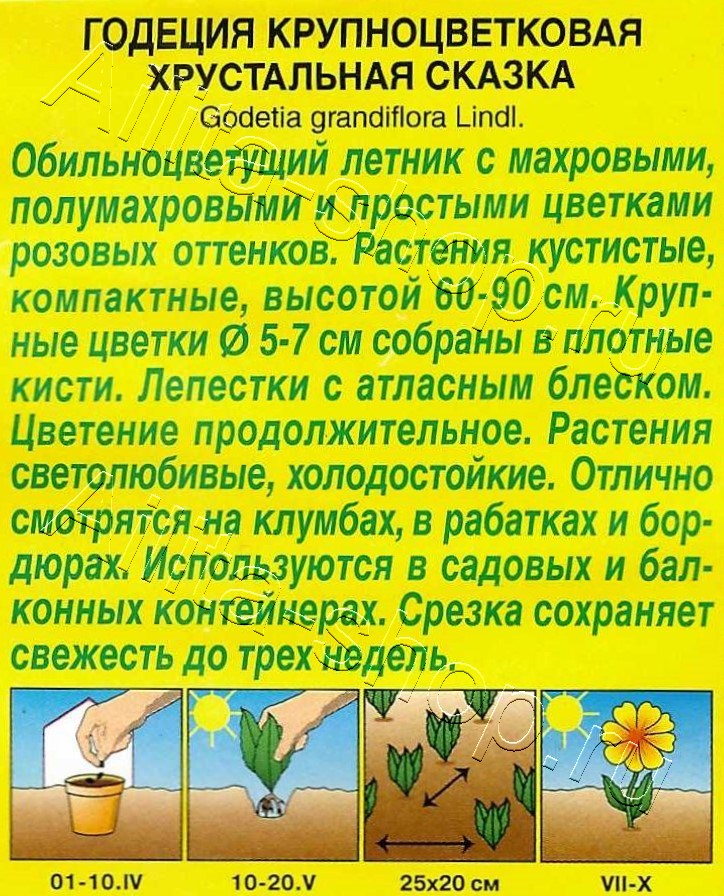 Годеция Хрустальная сказка махровая 0,05г