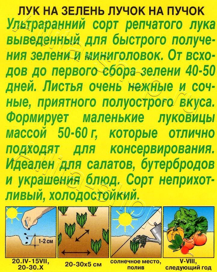 Лук на зелень Лучок на пучок 0,5г