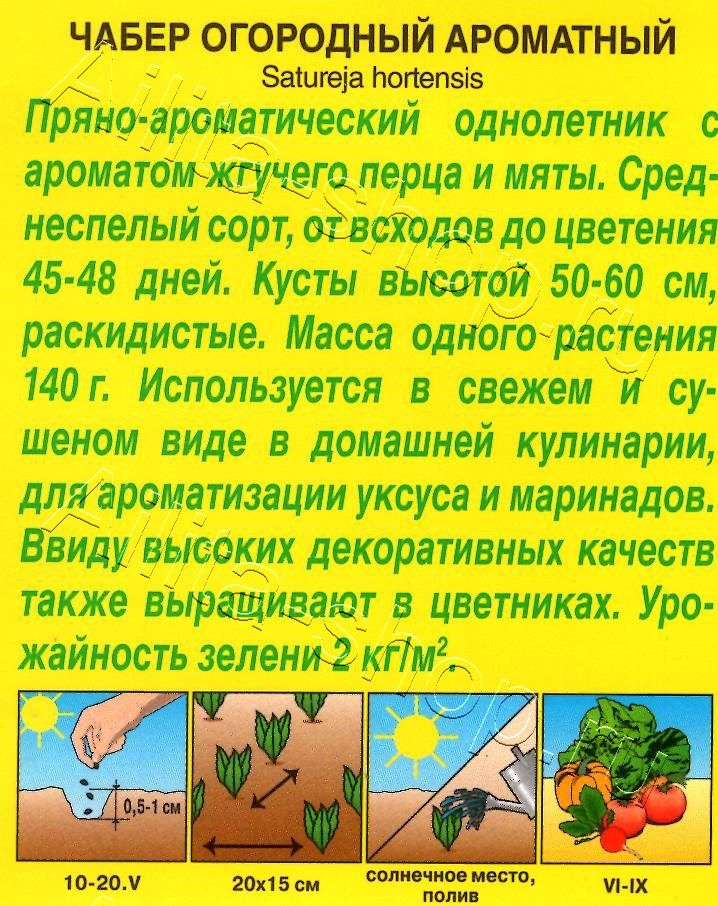 Чабер огородный Ароматный 0,2г