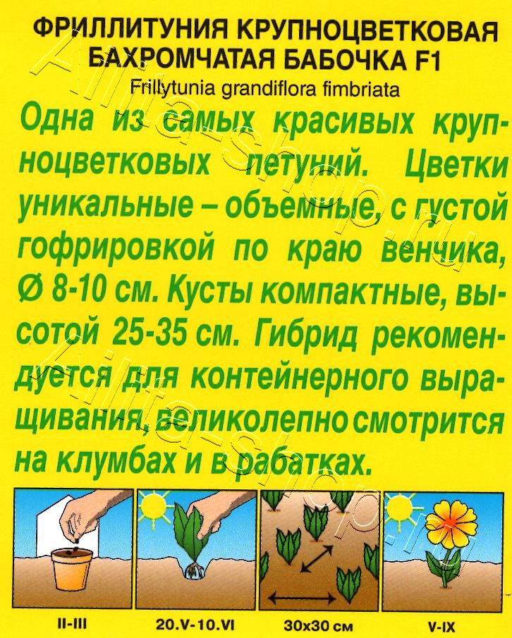 Фриллитуния Бабочка F1 крупноцветковая бахромчатая 7шт