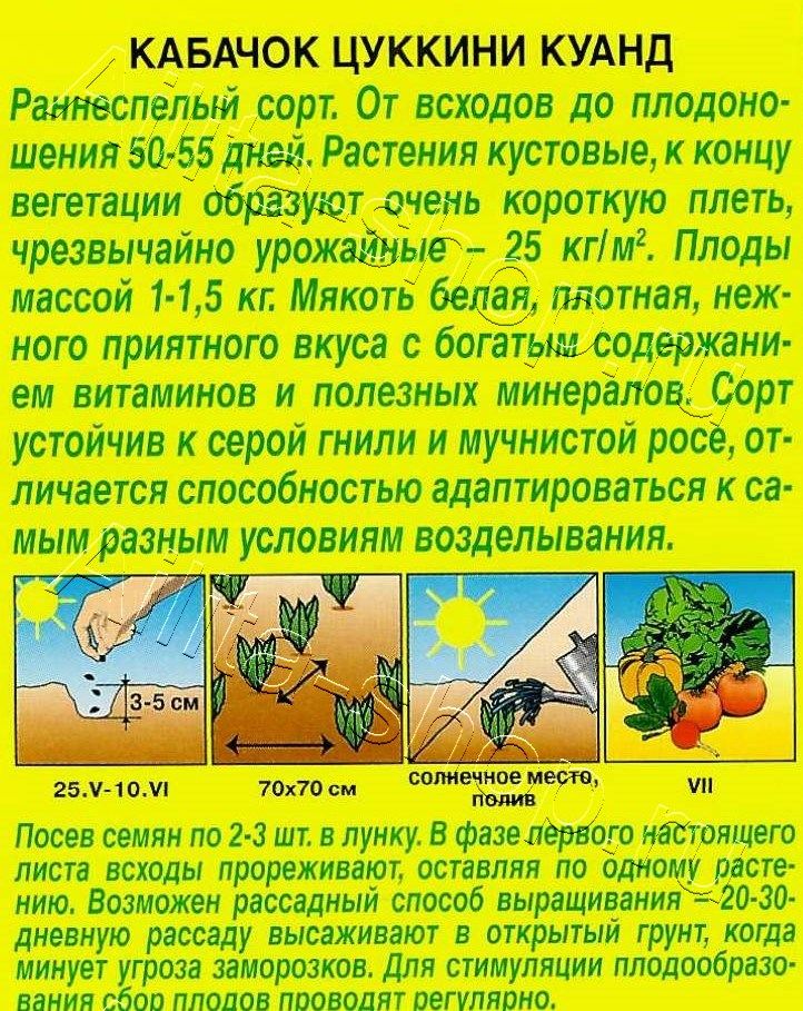 Кабачок цуккини Куанд 2г