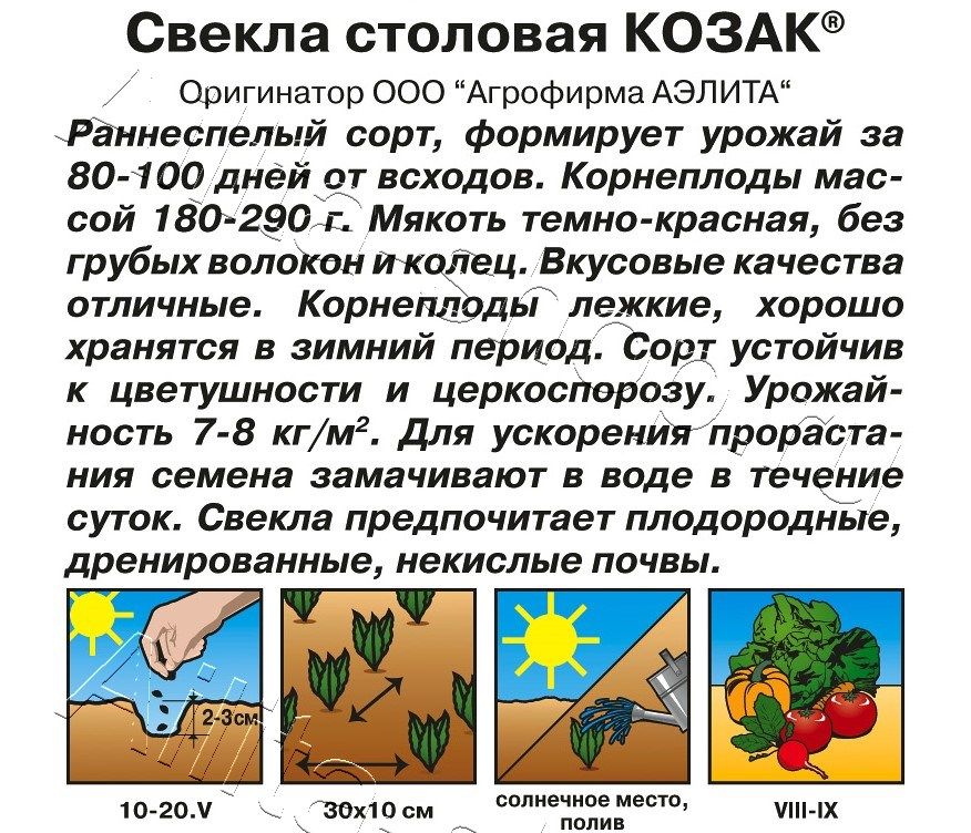 Свекла столовая Козак 3г