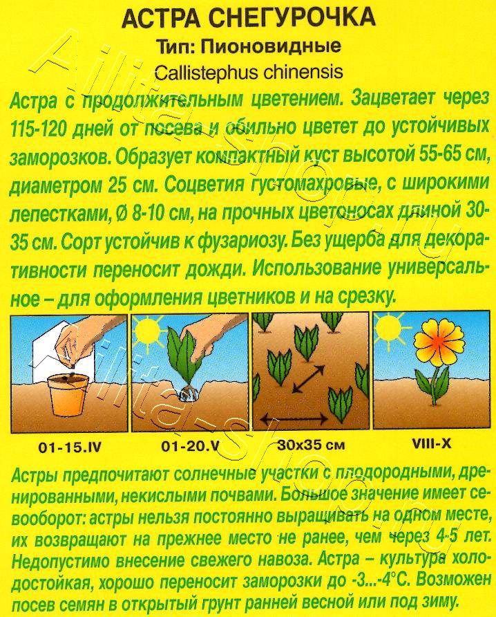 Астра Снегурочка 0,2г