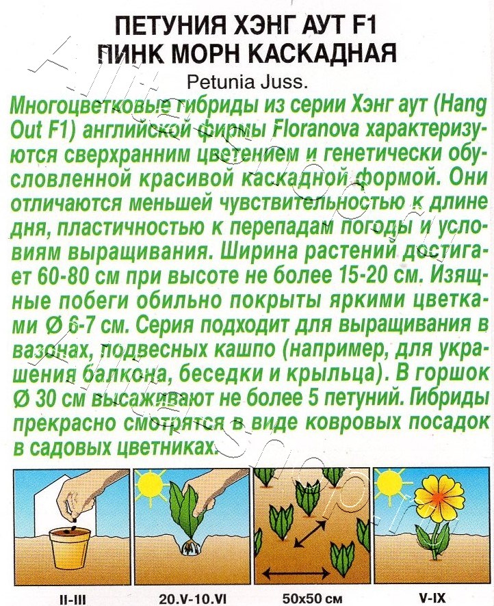 Петуния Хэнг аут F1 пинк морн каскадная 4шт