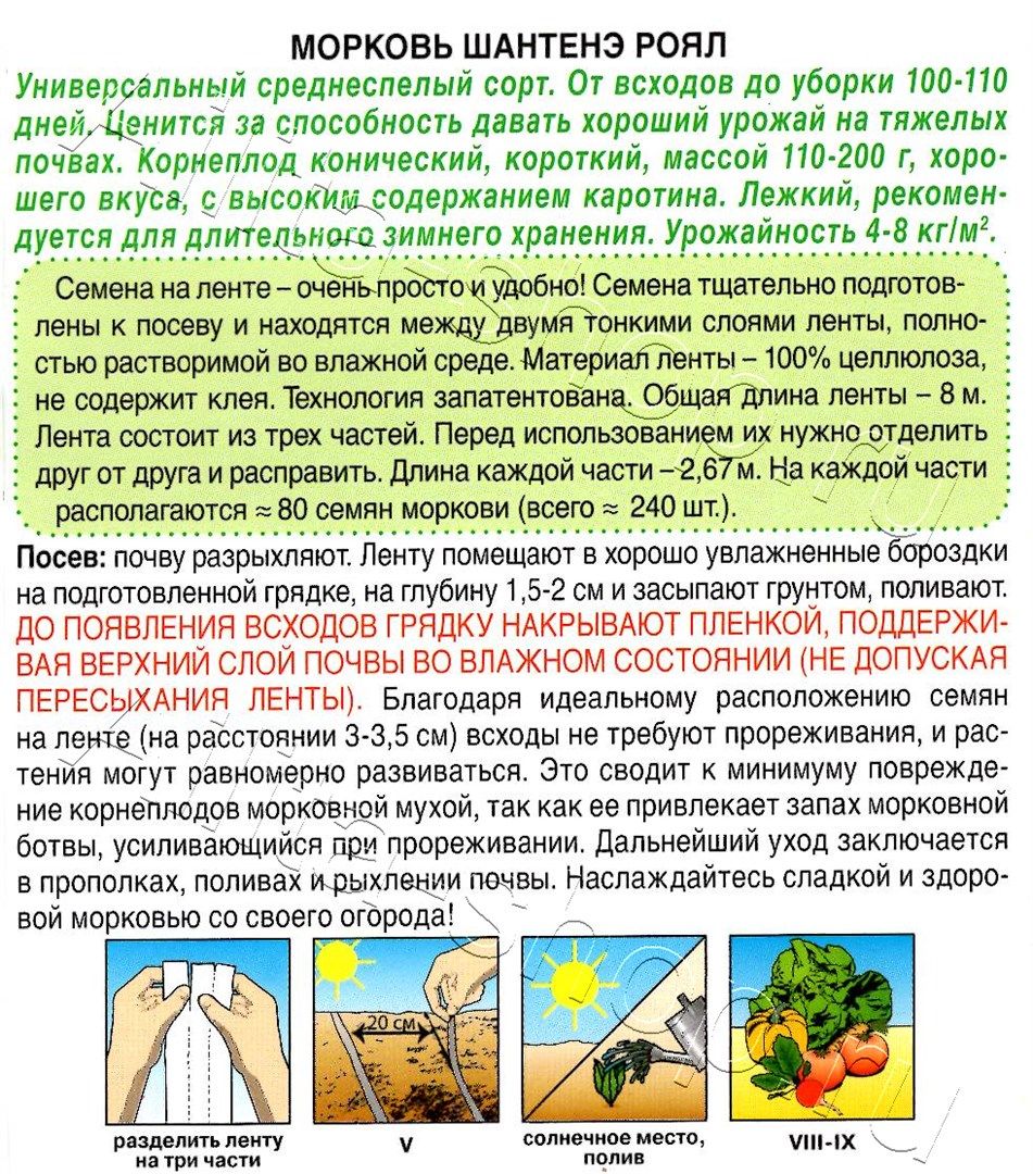 Морковь Шантенэ роял на ленте 8м