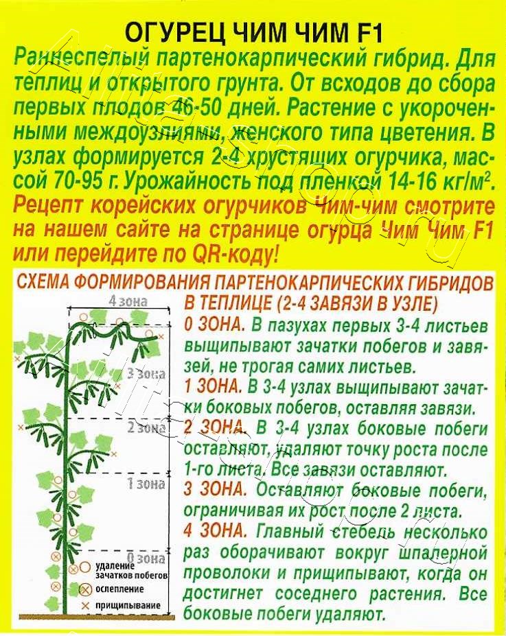 Огурец Чим Чим F1 10шт
