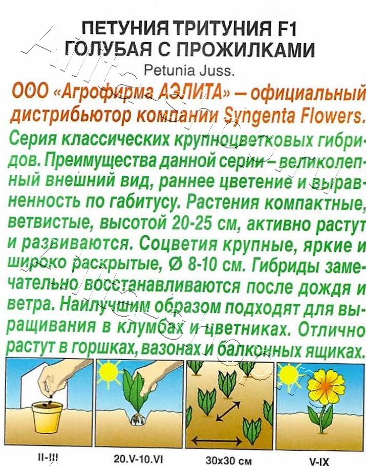 Петуния Тритуния F1 голубая с прожилками 7шт