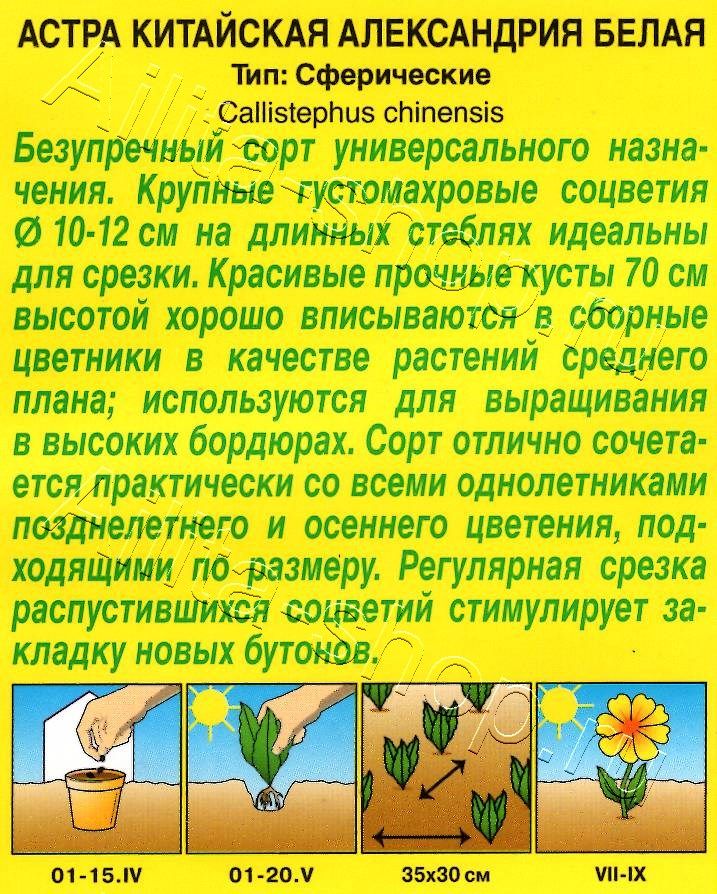 Астра Александрия белая 0,1г