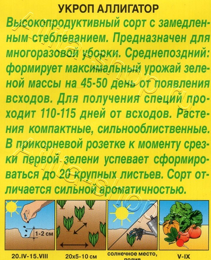 Укроп Аллигатор 3г