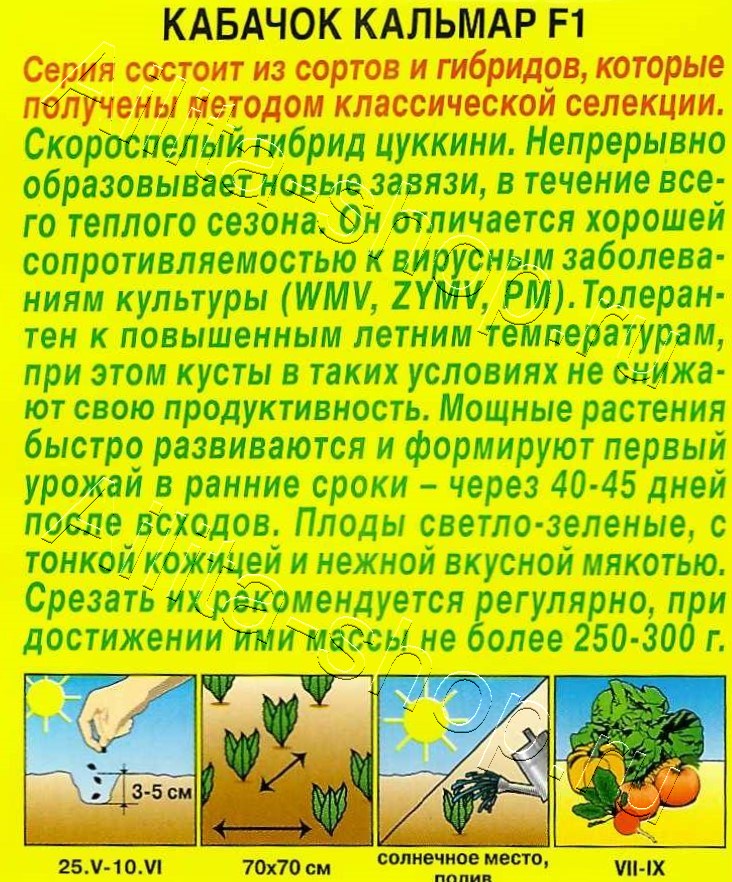 Кабачок цуккини Кальмар F1 5шт