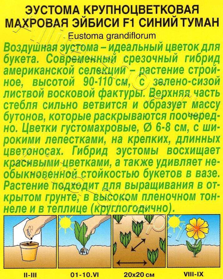Эустома Эйбиси F1 синий туман крупноцветковая махровая 5шт