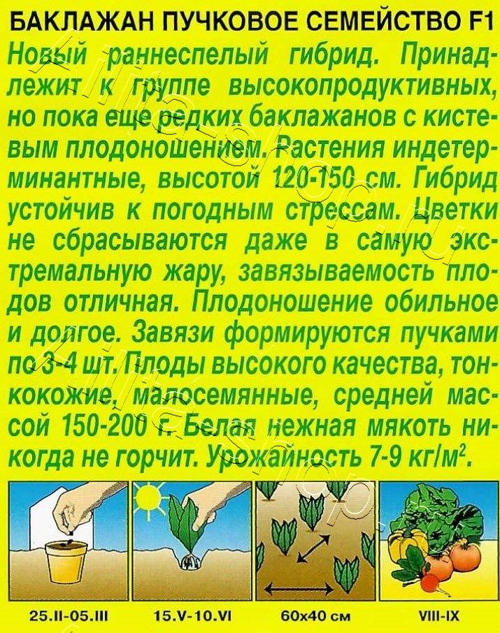 Баклажан Пучковое семейство F1 0,1г