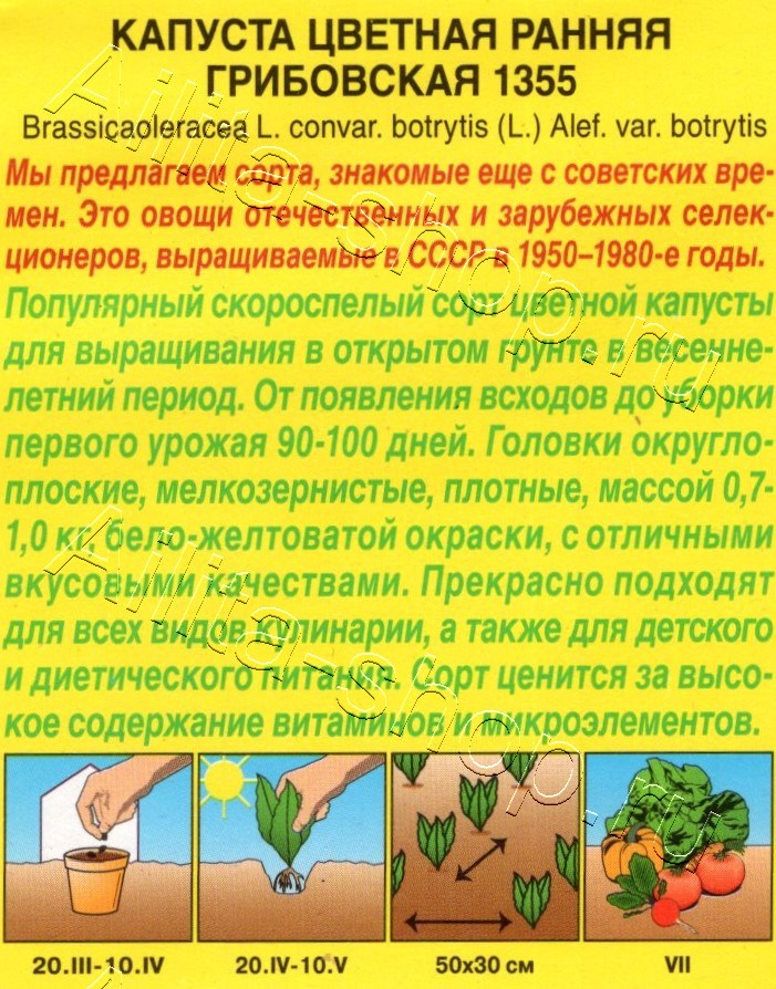 Капуста цветная Ранняя Грибовская 1355 0,3г