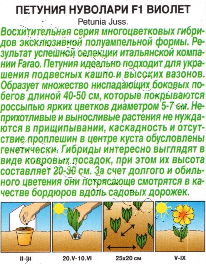 Петуния Нуволари F1 полуампельная виолет 5шт