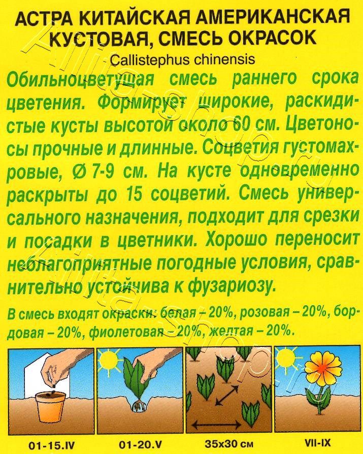 Астра Американская кустовая, смесь окрасок 0,2г