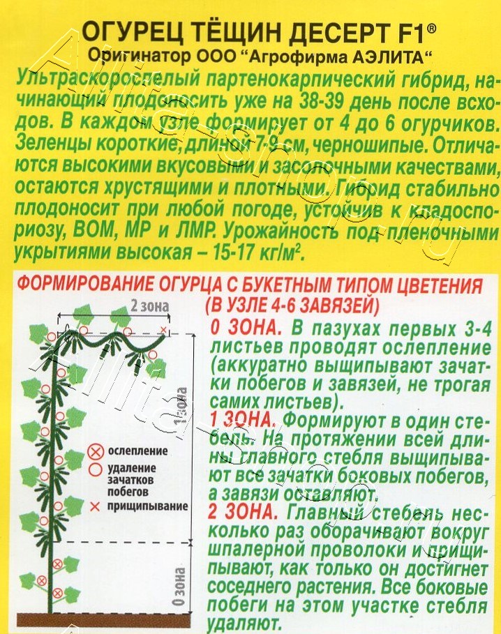 Огурец Тещин десерт F1 10шт