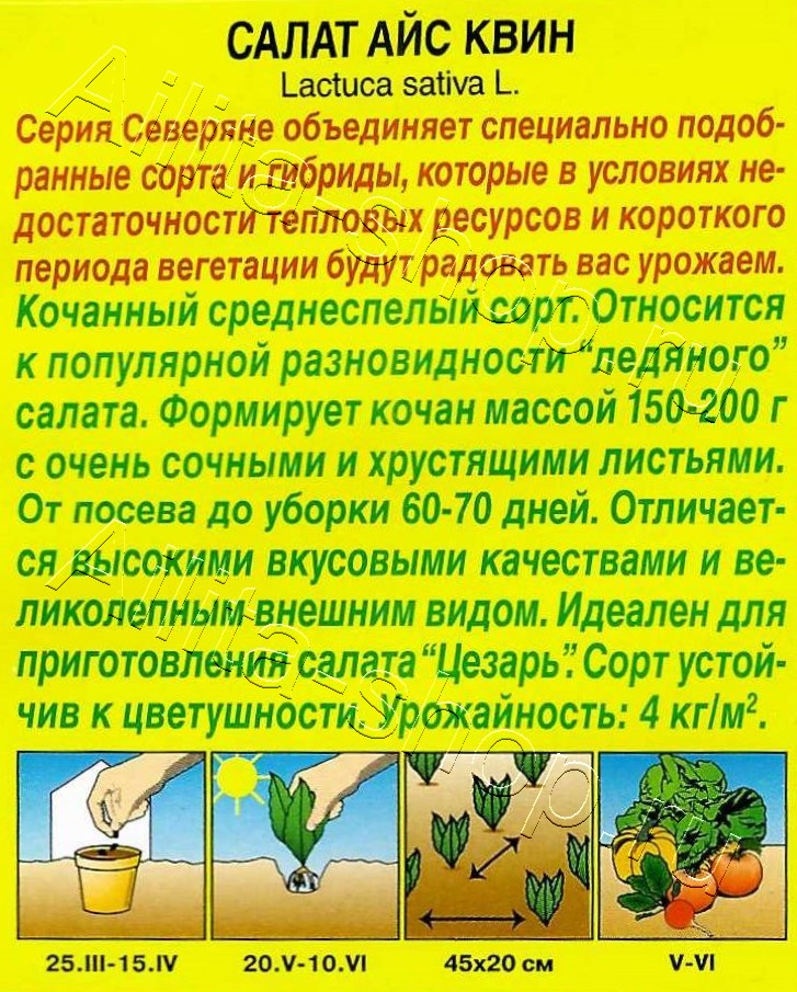 Салат Айс квин 0,5г