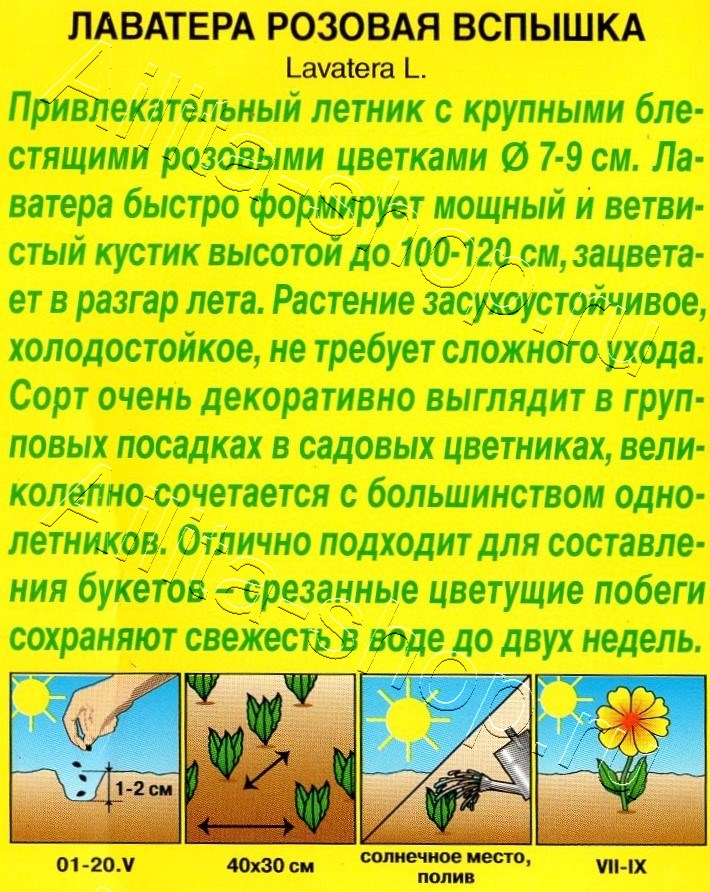 Лаватера Розовая вспышка 0,3г