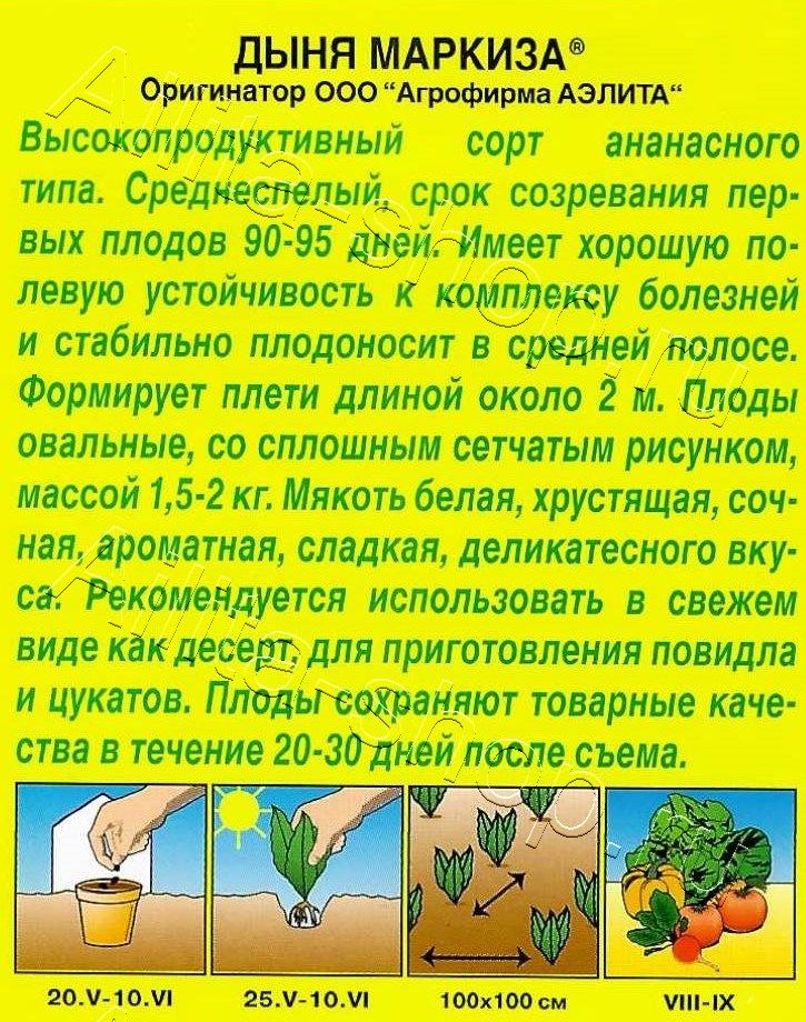 Дыня Маркиза 1г