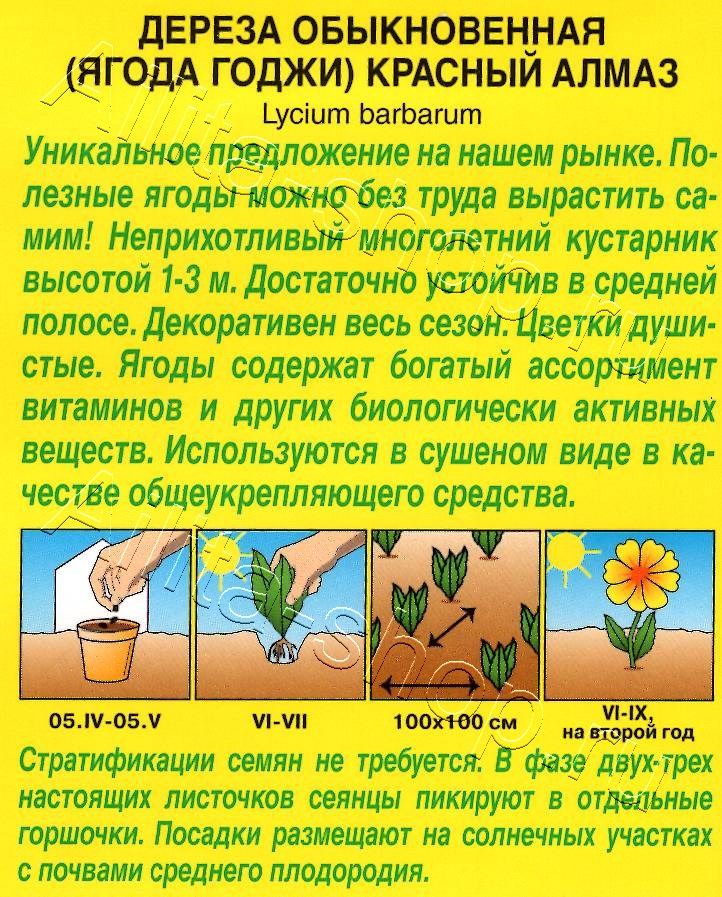 Дереза обыкновенная (ягода Годжи) Красный алмаз 0,1г