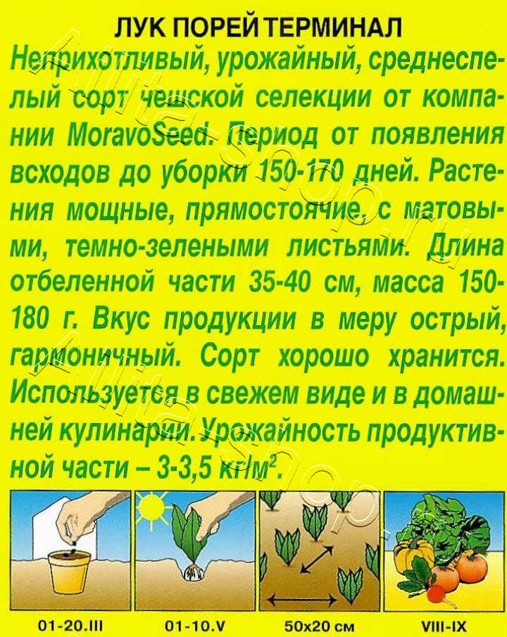 Лук порей Терминал 1г