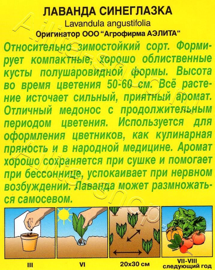 Лаванда Синеглазка 0,1г