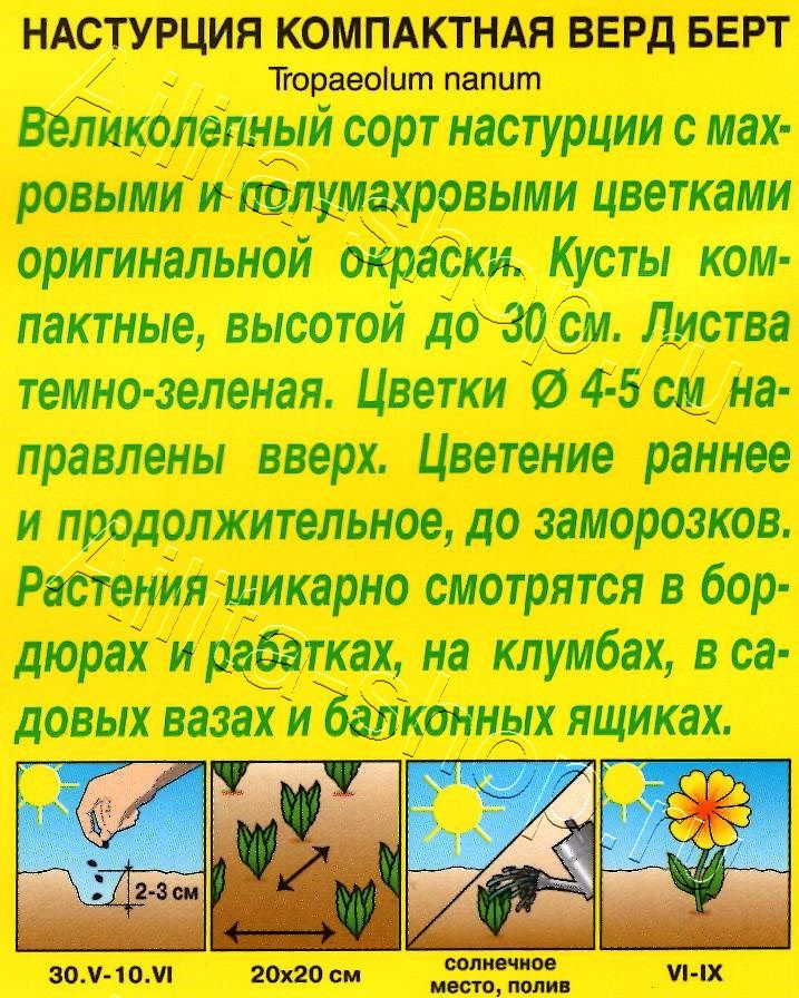 Настурция махровая Верд Берт 1г