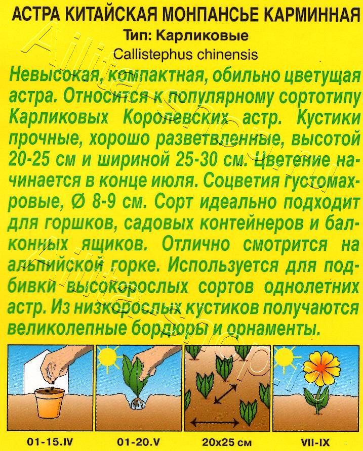 Астра Монпансье карминная 0,2г